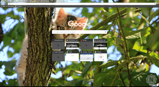 Chrome Theme Kitten in a Tree