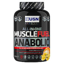 USN All-in-one logo