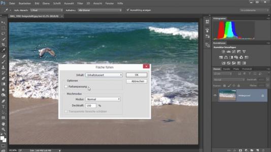 Adobe Photoshop inhaltsbasierte Füllung
