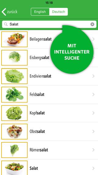PONS Bildwörterbuch Deutsch App Suchfunktion