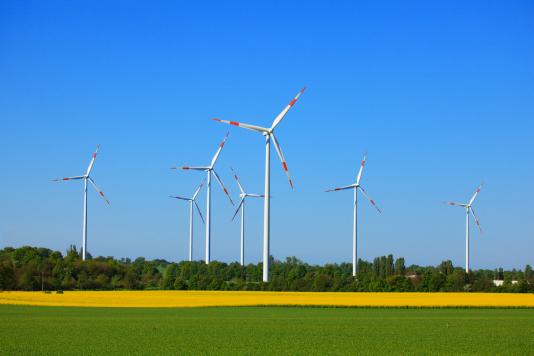 Mit rund 40 Prozent hält die Windenergie in Deutschland den größten Anteil an regenerativen Energien.