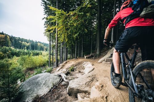 E-Bike Mountainbike