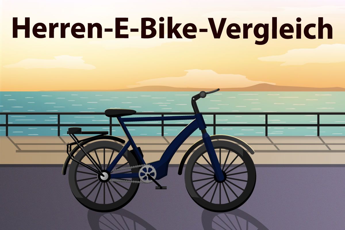 Herren-E-Bike-Vergleich