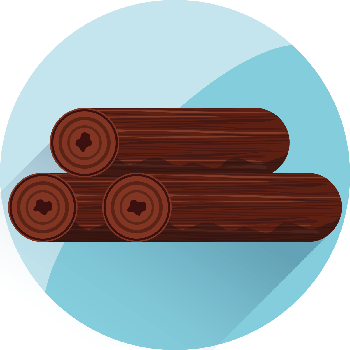 Mahagoni Holz