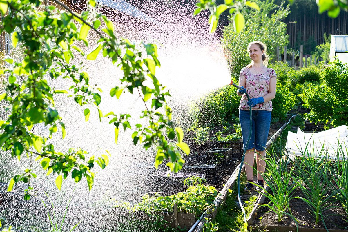 Frau gießt Garten mit Wasserschlauch