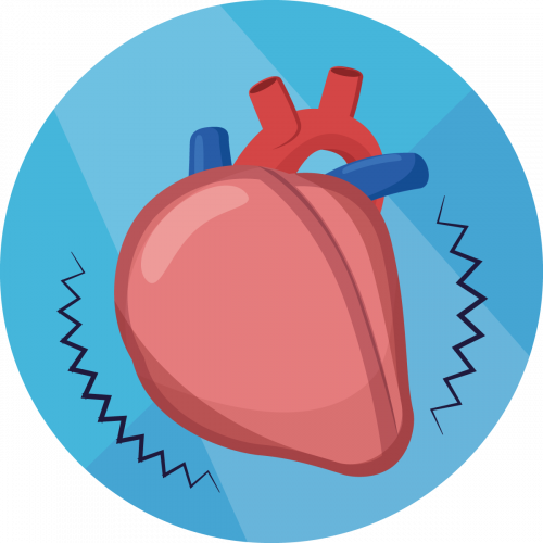 Herz- und Kreislauferkrankung