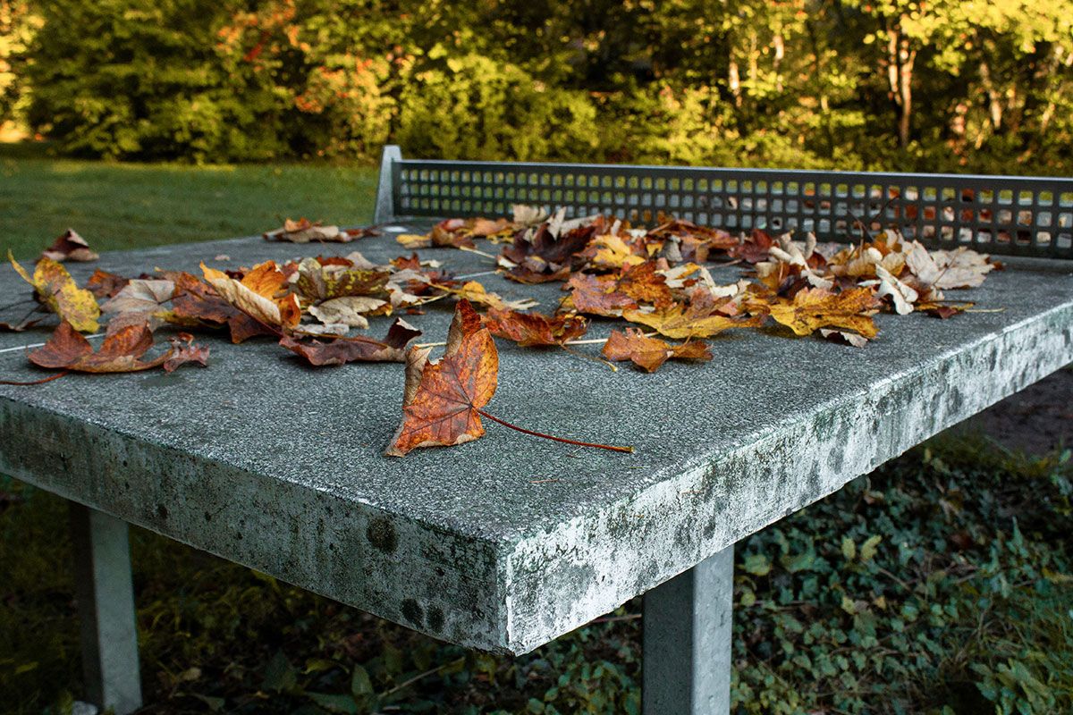 Steinerne Tischtennisplatte im Herbst mit Laub