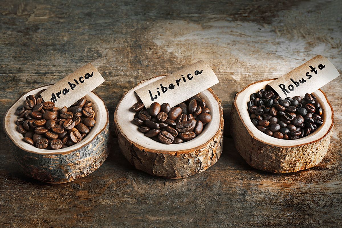 Verschiedene Kaffeebohnen-Sorten befinden sich in hölzernen Schalen