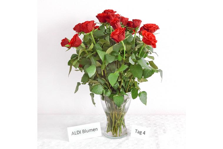 Rosenstrauß von ALDI Blumen - Tag 4