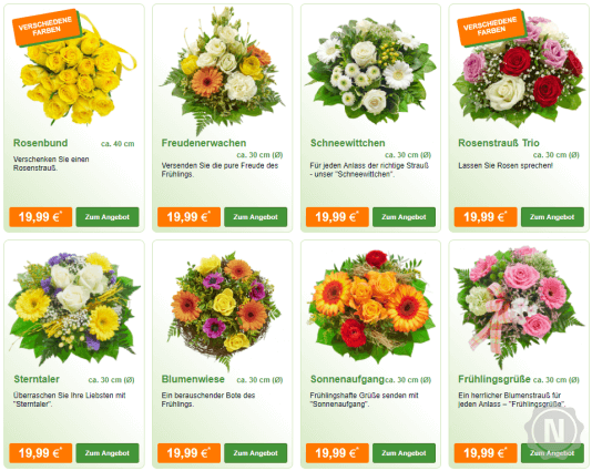 ALDI-Blumen Produktauswahl