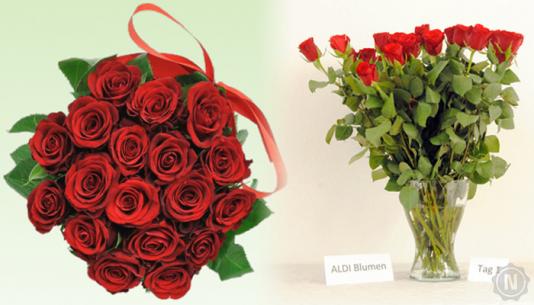 ALDI Blumen Rosen Vergleich