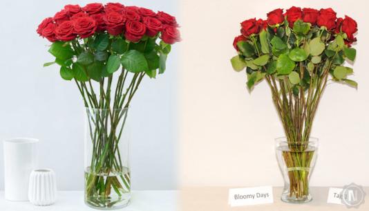 Bloomy Days Rosen Werbung vs. Realität
