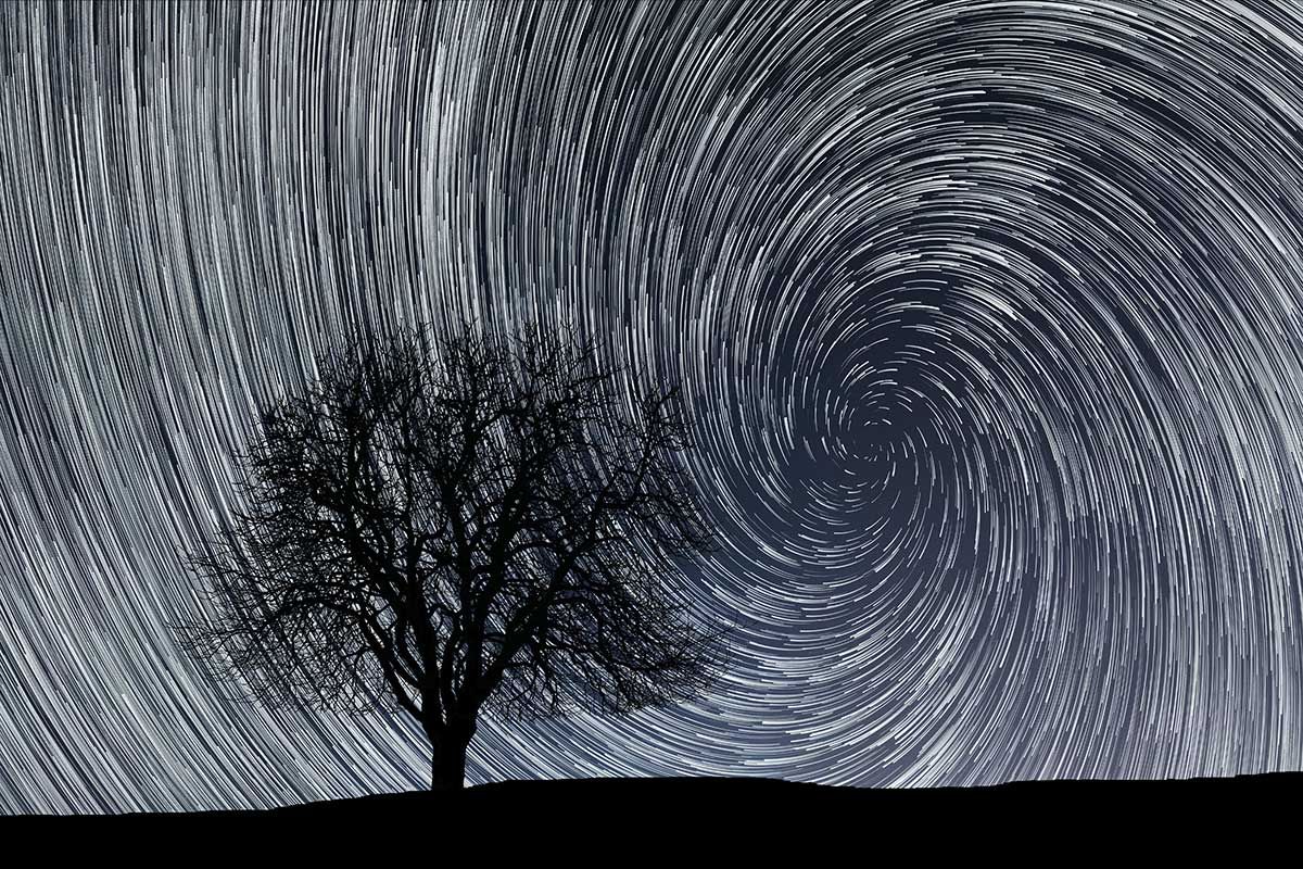 Baum mit Sternenspuren durch Zeitraffer