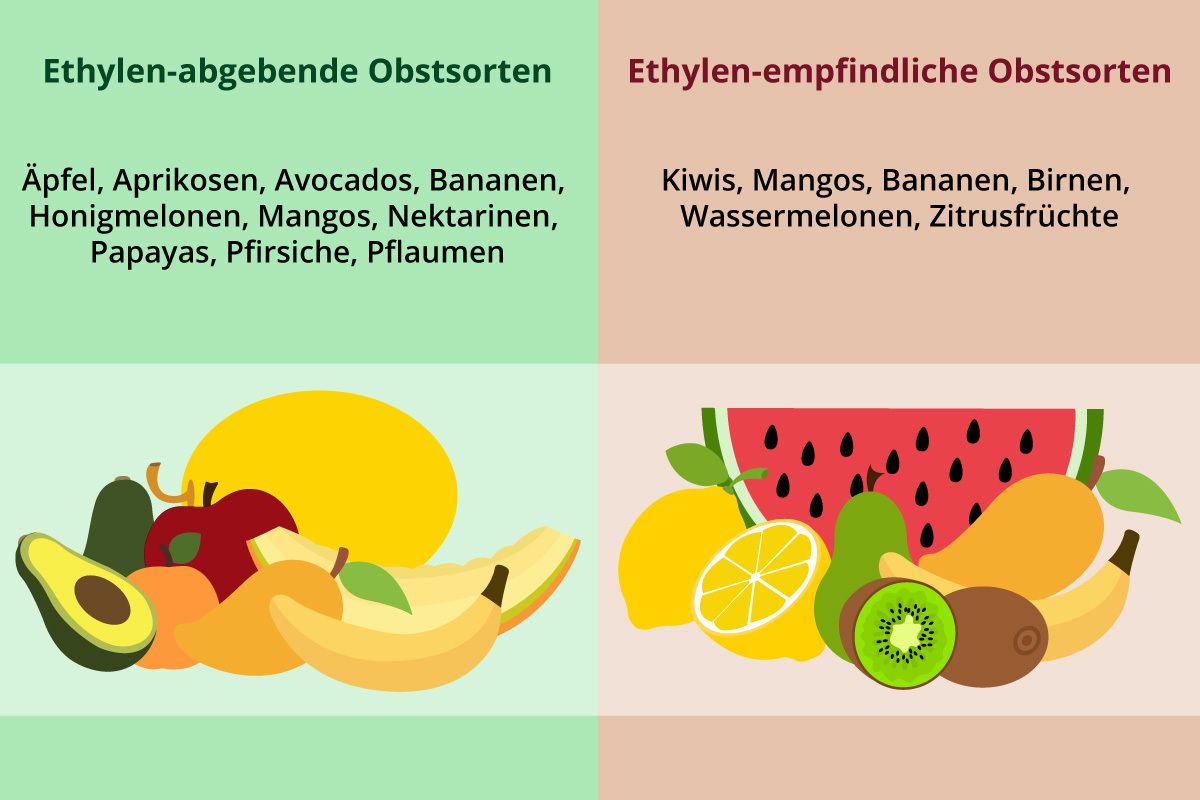 Erklaerung zu Lebensmitteln