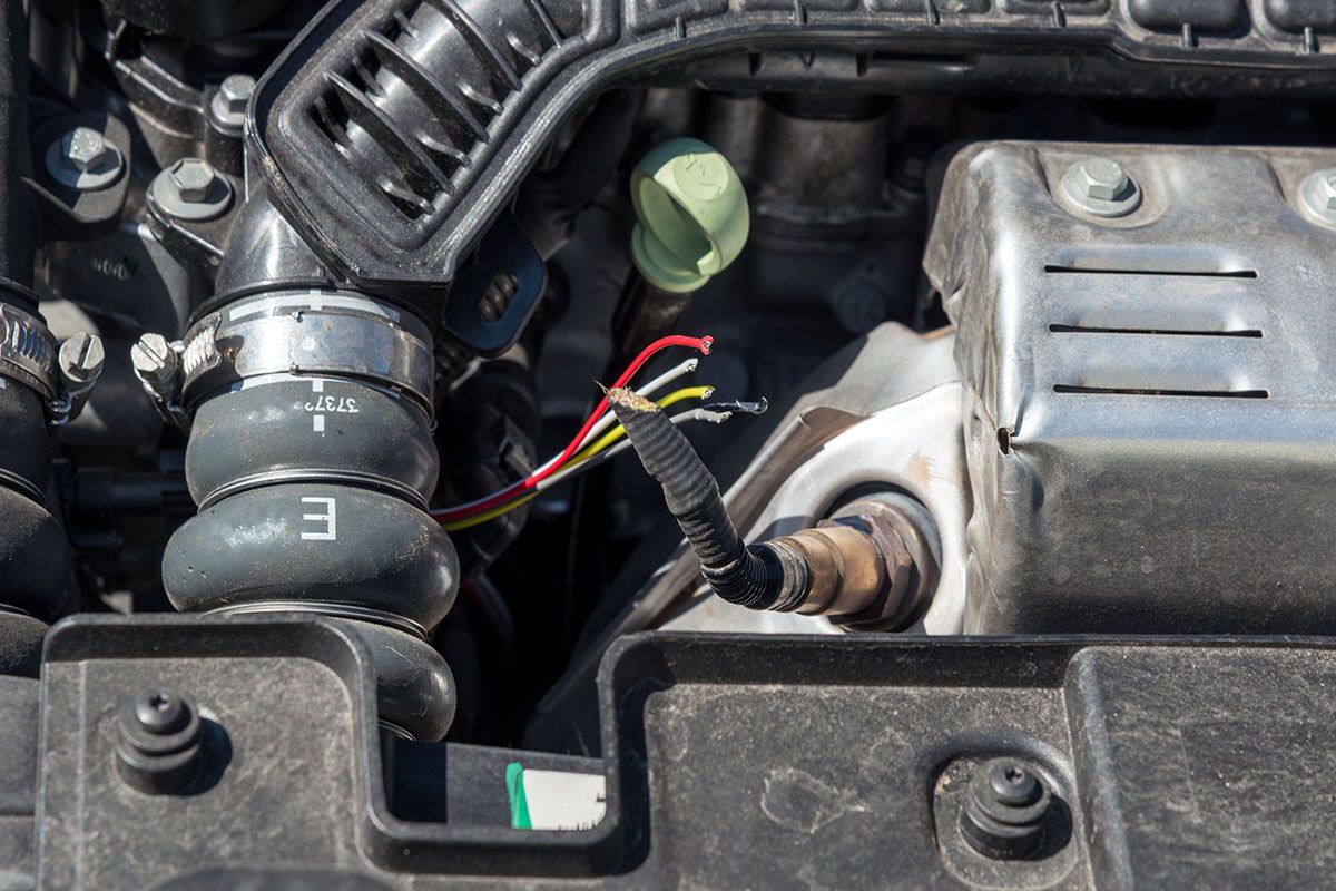 Von Mardern durchgenagte Kabel im Motor können gravierende Schäden nach sich ziehen.