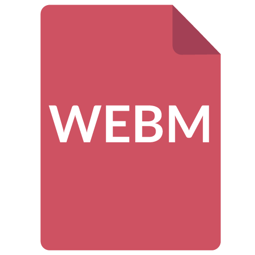 WEBM Format