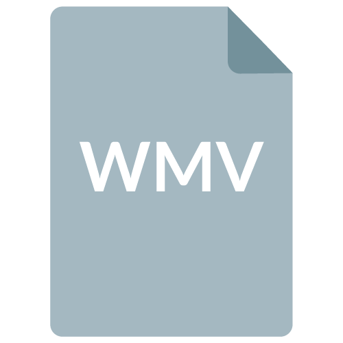 WMV Format
